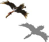 mon38.wzl Appr 371
