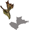 mon4.wzl Appr 39