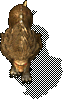 mon42.wzl Appr 412