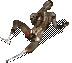 mon6.wzl Appr 53