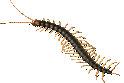 mon8.wzl Appr 73